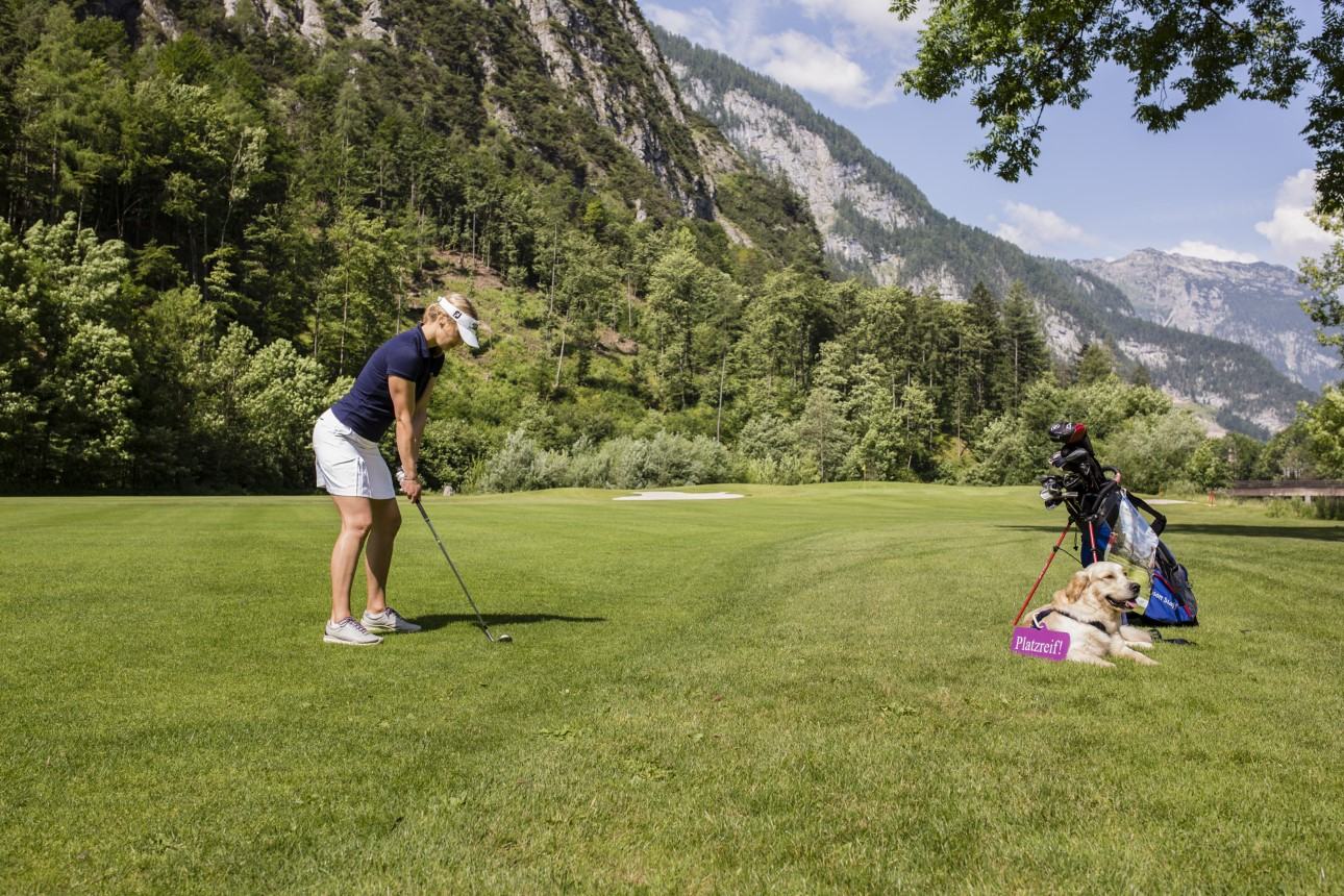 Golf C Artisual